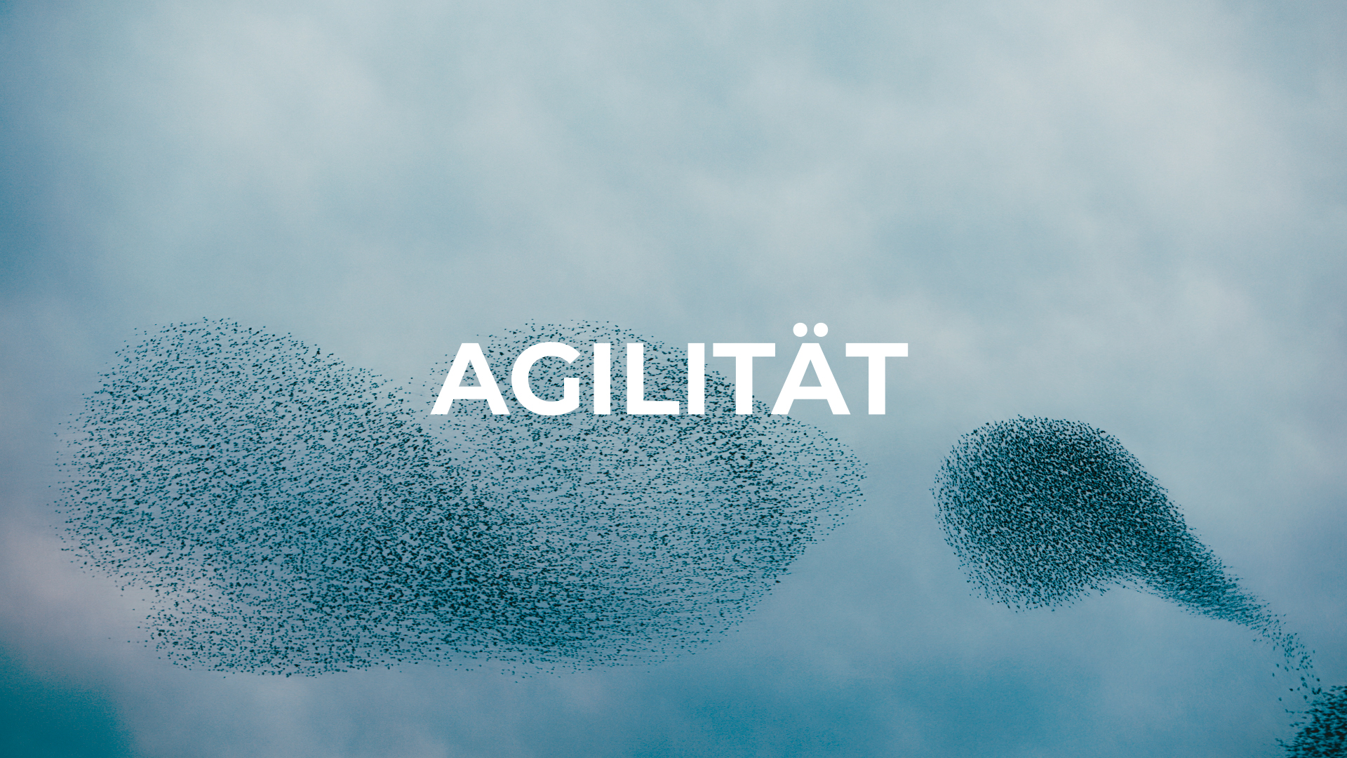 Neuauftritt Gähler Partner